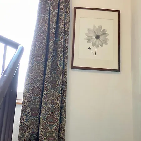 酒店 Rheinischer Hof *