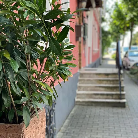 Rheinischer Hof *
