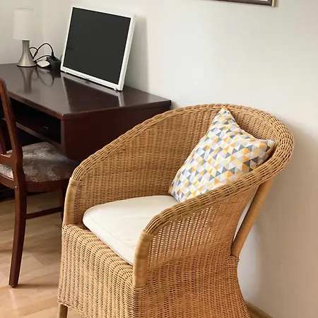 酒店 Rheinischer Hof 普丰斯塔特