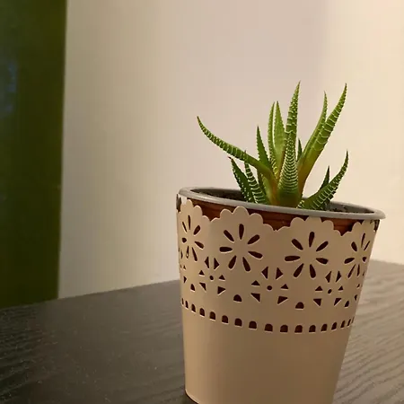 Rheinischer Hof 酒店