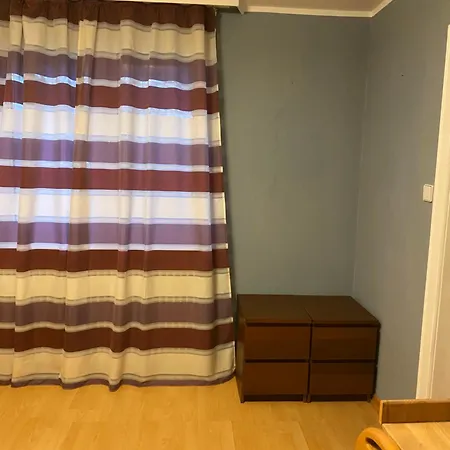 Rheinischer Hof 酒店 普丰斯塔特