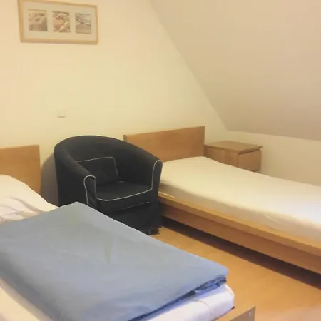 Rheinischer Hof 酒店 普丰斯塔特