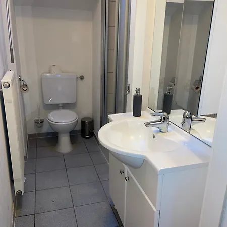 酒店 Rheinischer Hof 普丰斯塔特